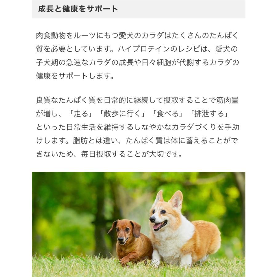 リガロ ハイプロテインレシピ ７歳以上用 シニア ラム 5.8kg 愛犬用