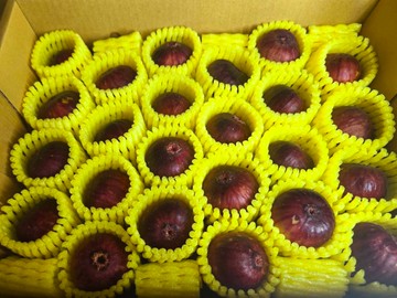 【帕查嬤嬤】????台灣最高階 生命之果 無花果❤️｜台灣無花果禮盒