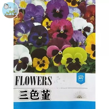 【原廠包裝】三色堇種子(Pansy)200粒裝 貓臉花 鬼臉花 秋冬必種 陽台盆栽爆花 低溫開花 庭園花壇佈置 四季播種