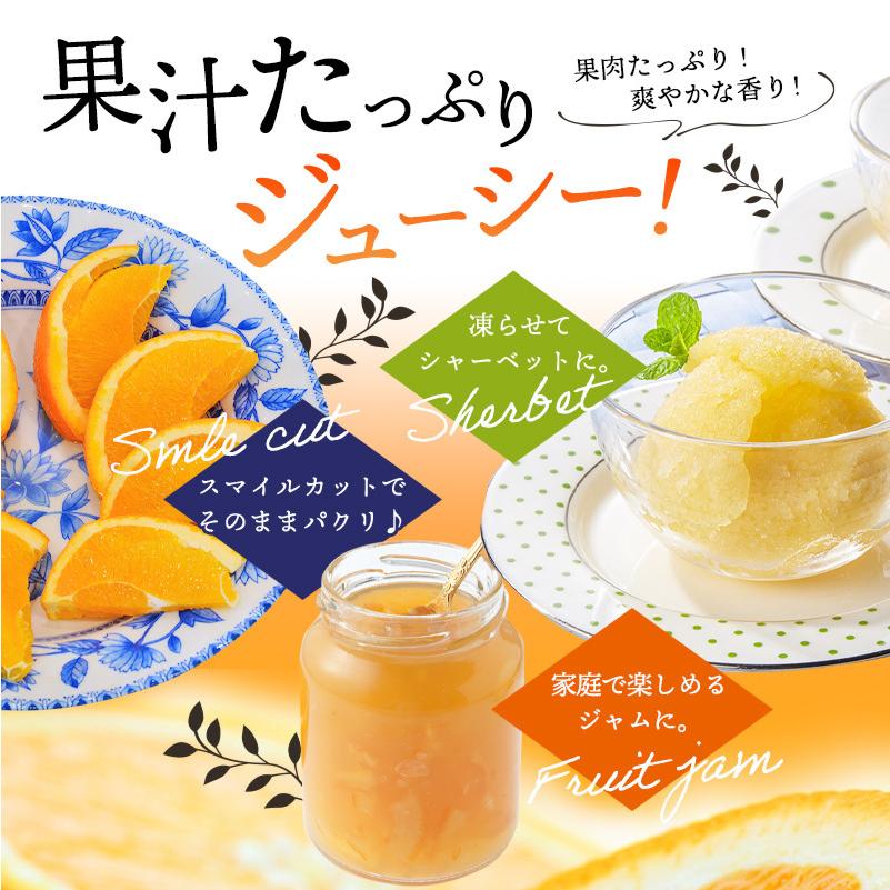 ご予約開始 和歌山県産ネーブル オレンジ ご家庭用 約3kg （約14玉） 2L〜3Lサイズの秀品 送料無料 減農薬で安心してお召し上がり頂けるネーブル (fy4)
