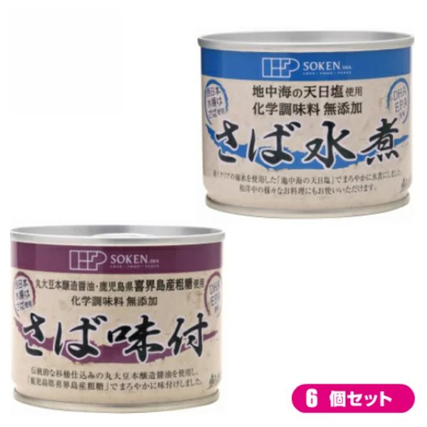 鯖 水煮 缶 創健社 さば缶 選べる６個セット 全２種