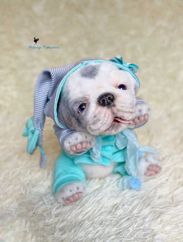 英国斗牛犬小狗 逼真的玩具 毛绒玩具