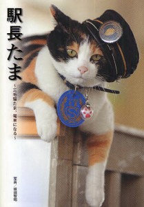 駅長たま 三毛猫たま,電車になる