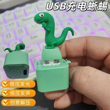 桃園出貨✨河狸變身計劃蜥蜴lizard小青蛇恐龍語音發光發聲解壓擺件充電款