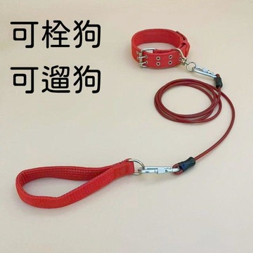 【24時特賣】寵物牽引繩 牽引繩 鏈子狗鏈子防咬鋼絲狗狗牽引繩中大小型犬拴狗遛狗項圈狗鐵鏈加粗加長