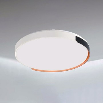 36W三色變光吸頂燈 B102-81-24973
