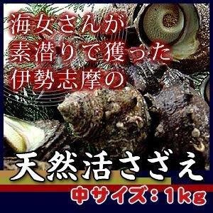 活サザエ　中サイズ　1ｋｇ（１０個〜１２個）