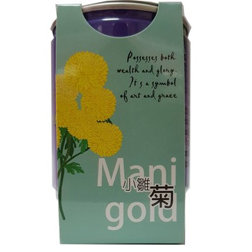 iPlant 易開罐頭小農場 - 小雛菊