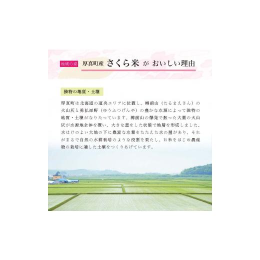 ふるさと納税 北海道 厚真町 《令和5年度産 新米》北海道厚真町産　さくら米（ななつぼし）30kg