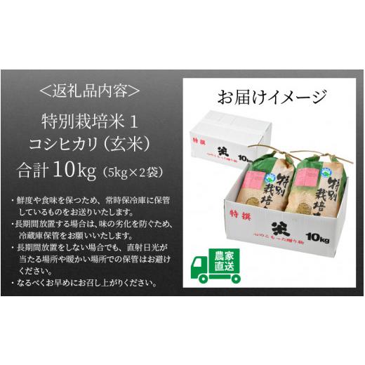 ふるさと納税 福井県 あわら市 コシヒカリ 玄米 5kg×2袋（計10kg） 特別栽培米 農薬不使用 化学肥料不使用 ／ 高品質 鮮度抜群 福井県産 ブ…