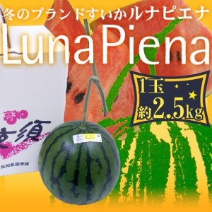 高知県夜須町 温室スイカ ”ルナピエナ” 1玉 約2.5kg 贈答用 送料無料