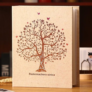 相薄 5寸6寸200張相冊本紀念冊插頁式家庭大容量影集過塑成長記錄冊