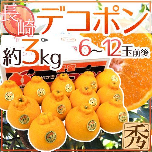 長崎産 ”デコポン” 秀品 6〜15玉前後 約3kg 送料無料