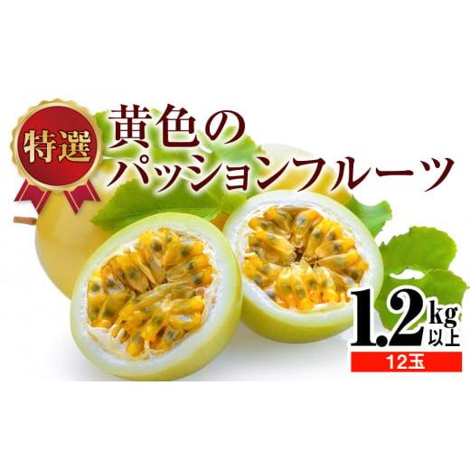 ふるさと納税 沖縄県 南風原町 特選　黄色のパッションフルーツ　1.2kg以上　12玉
