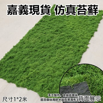 隔日到貨 現貨 5款仿真青苔 仿真苔藓 假蘚苔 假青苔 仿真植物墙 造景裝飾材料 假苔癬 人工草皮 仿真造景 假山草皮