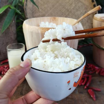 香椿木椿芽木蒸飯木桶蒸飯家用蒸飯桶飯甑商用蒸飯神器蒸籠木桶飯