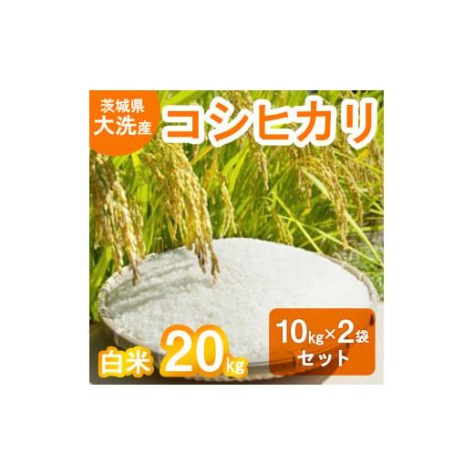 ふるさと納税 茨城県 大洗町 令和5年産 大洗産 コシヒカリ 白米 20kg (10kg×2袋） お米 茨城 精米 こめ 米