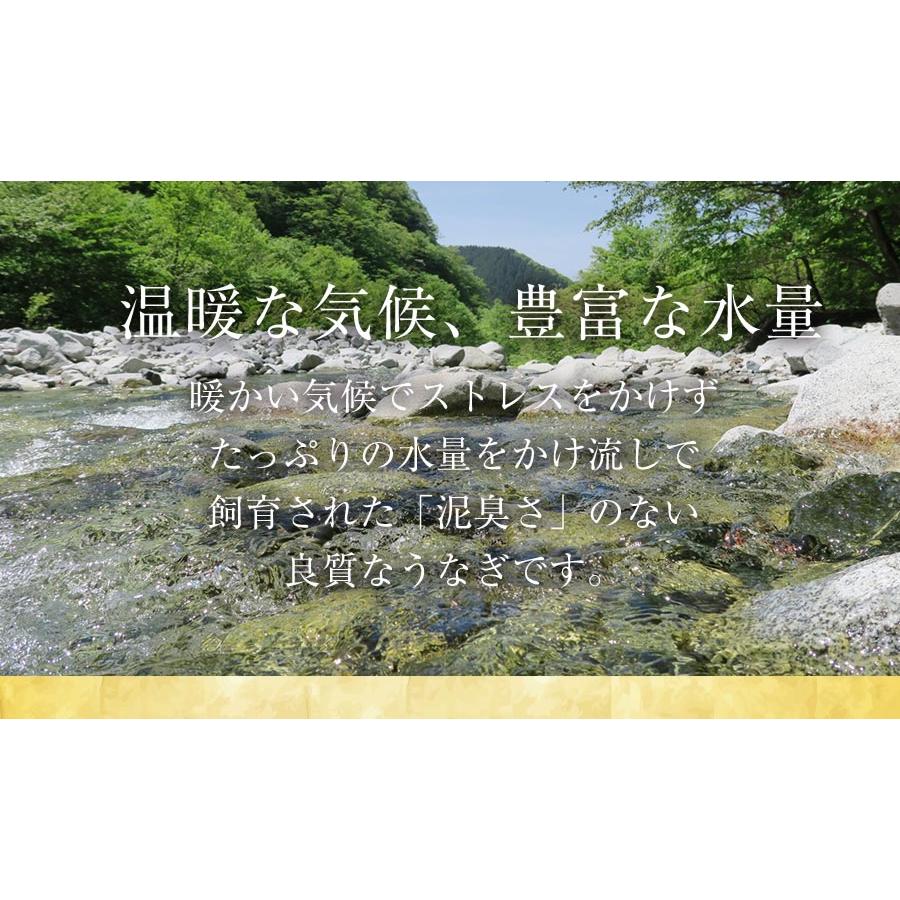 薩摩川内 国産 うなぎ蒲焼 詰合せセット ウナギ 鰻 土用丑の日 鹿児島 母の日 父の日 敬老 ギフト 歳暮