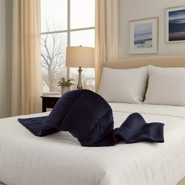 PROIDEA-羽絨呵護暖眼舒眠被-炭灰色