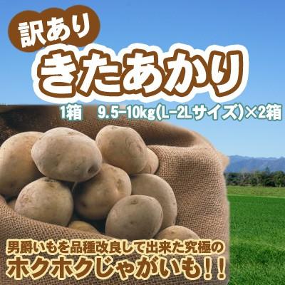 きたあかり 9.5-10kg×2箱 訳あり 北海道 じゃがいも S-Mサイズ 送料無料 ※沖縄は送料別途加算 キタアカリ 御歳暮 クリスマス 正月