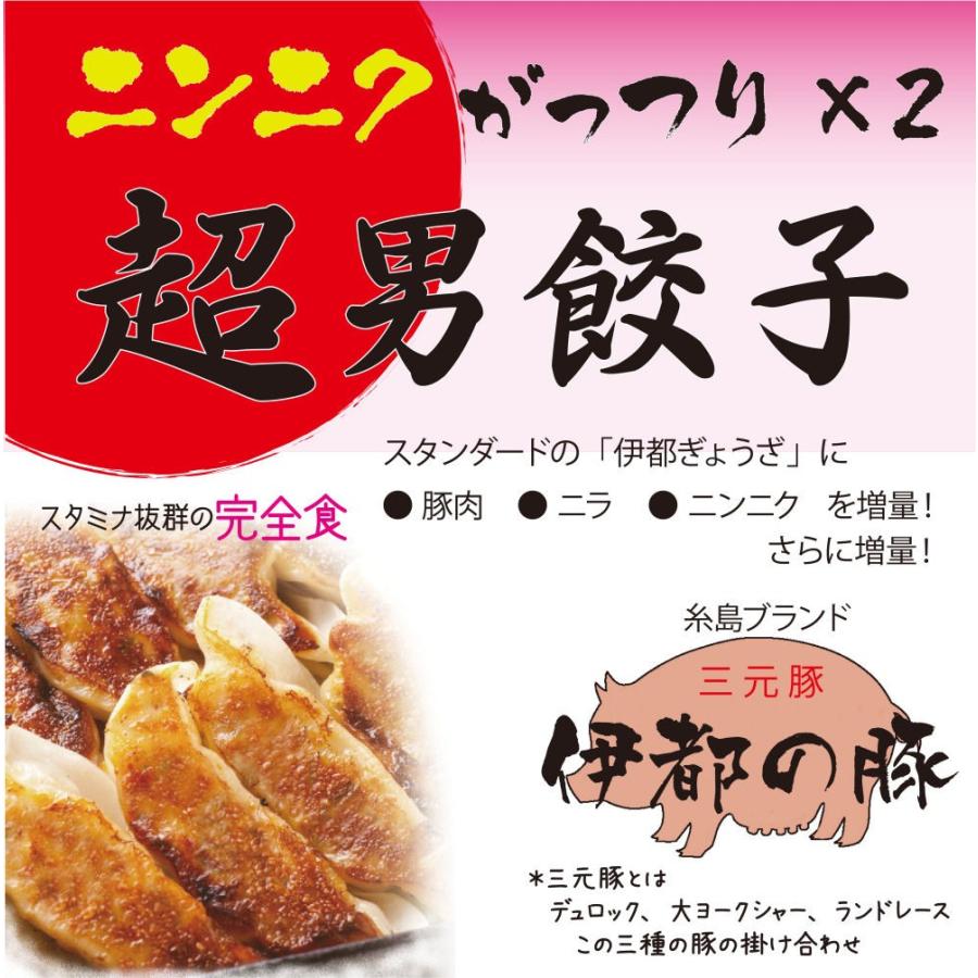 冷凍・超男餃子（16ヶ入り×４、たれ付き）、ニンニク　がっつり×２　スタミナ２倍？