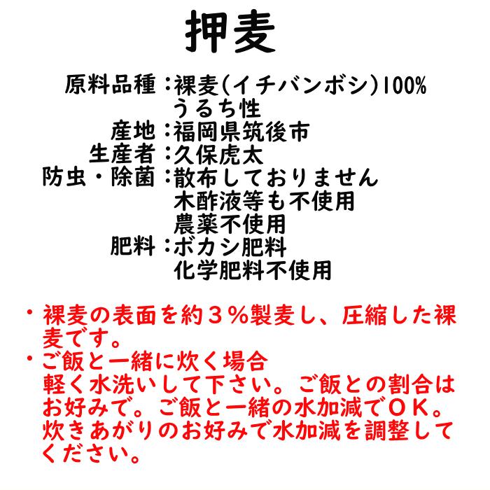 押麦 450g ポスト投函専用 無農薬 大麦 福岡県産 筑後久保農園 1000円 ぽっきり