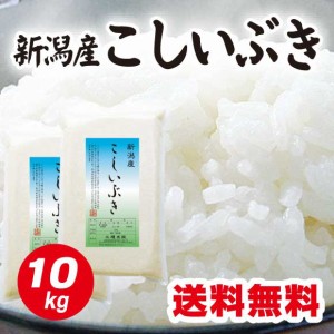 米 令和5年産 新潟産こしいぶき5kg×2 