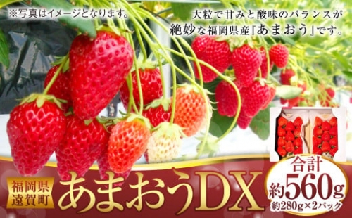 あまおうDX 約280g×2パック