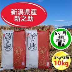 新潟県胎内市産新之助10kg(5kg×2袋)全6回