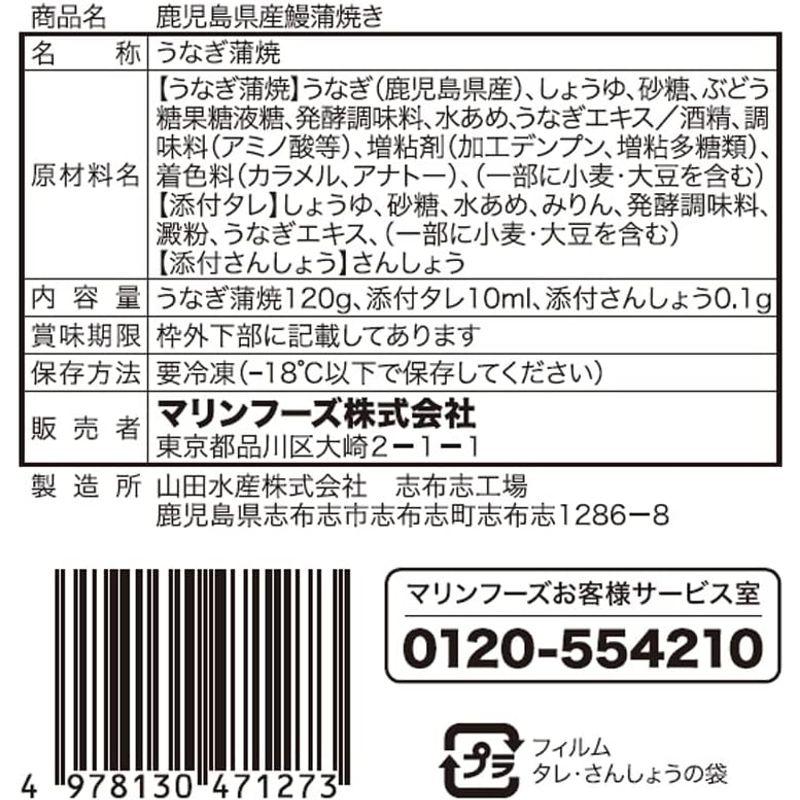 鹿児島県産 うなぎ 蒲焼き (120g×2パック) タレ 山椒 別添 冷凍 国産 鰻