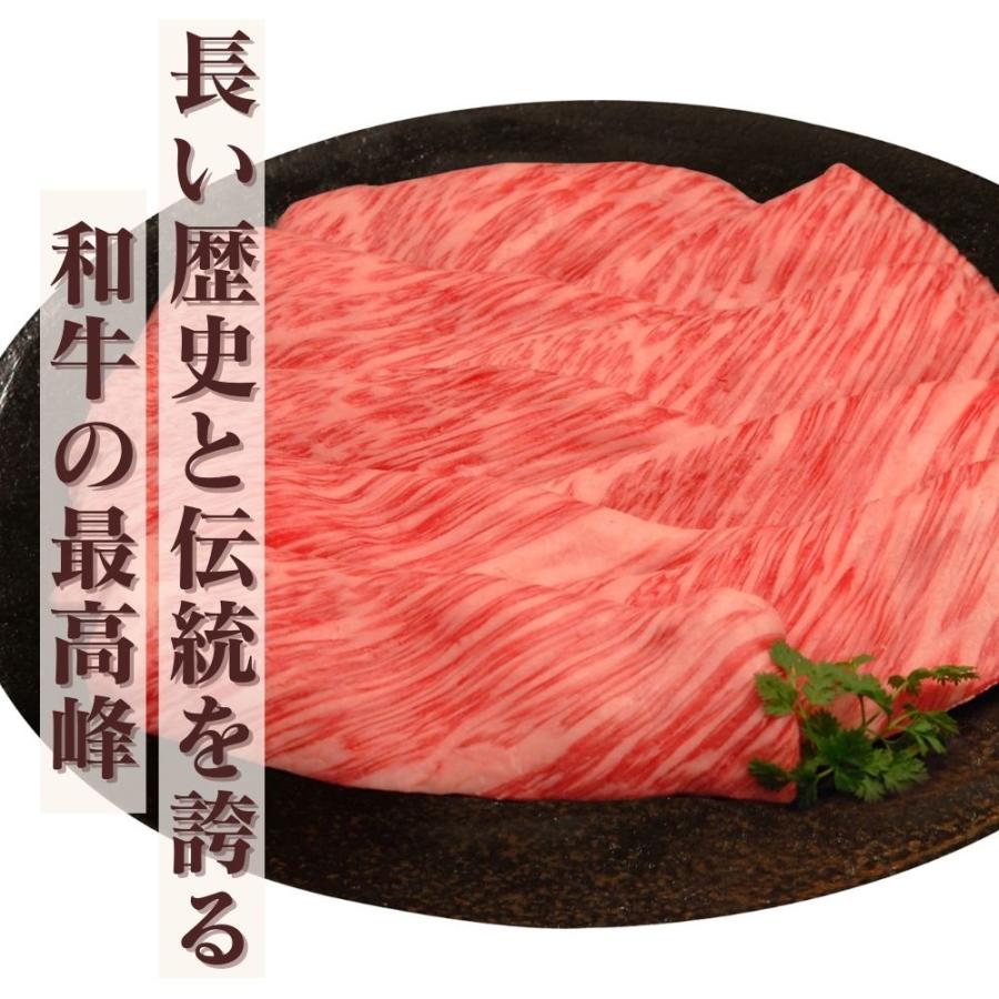 直送 牛肉 神戸ビーフ 神戸ビーフ 肩ロースすき焼 しゃぶしゃぶ セット・詰め合わせ(500g