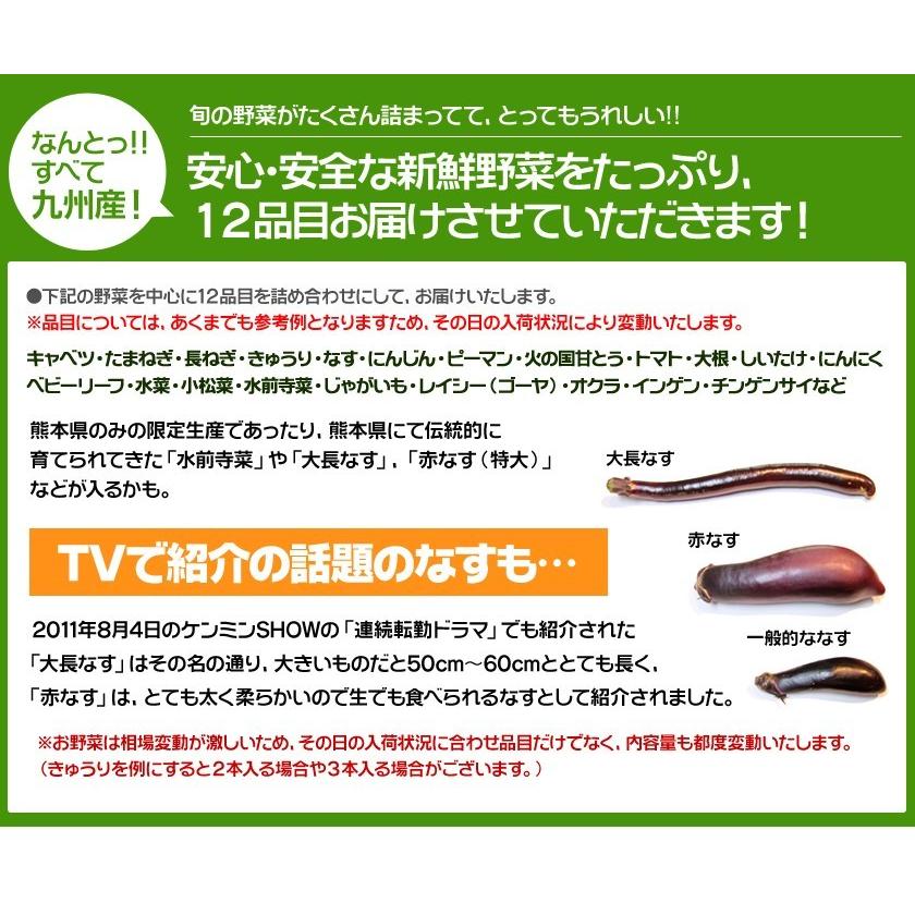 自家用 野菜セット たっぷり12品目 送料無料 熊本 九州 の安心安全 旬野菜 7-14営業日以内に出荷予定(土日祝日除く)