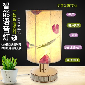 台灣出貨 科學實驗DIY 押花檯燈手工乾花小夜燈壓花植物聲控床頭燈沙龍團建活動材料