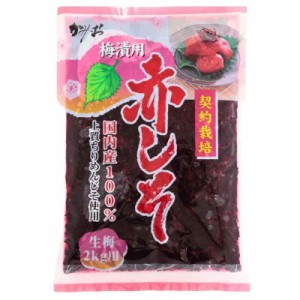 赤しそ 国内産100% 上質ちりめんじそ使用 生梅2kg用 500g