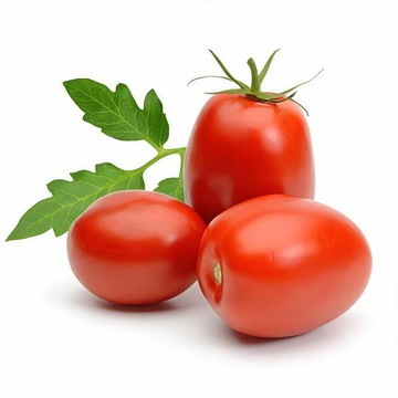 青禾園藝紅水果番茄種子FQ-23🍅紅羅曼番茄種子生吃多汁營養高盆栽果菜蔬菜種子#tomato