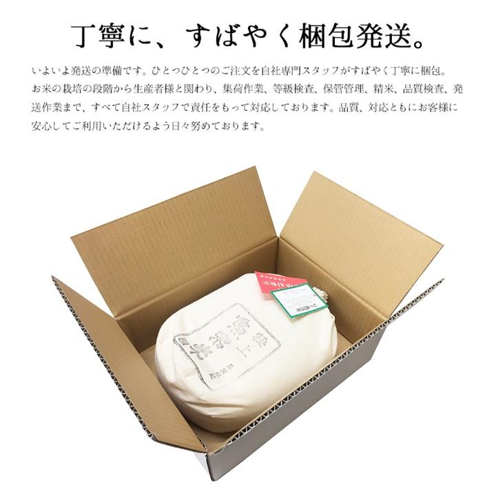 お歳暮 御歳暮 新米 令和5年産 米 10kg (5kg×2袋) 極上 魚沼米 コシヒカリ 新潟県産 お米 10キロ 白米 魚沼産 こしひかり ギフト プレゼント