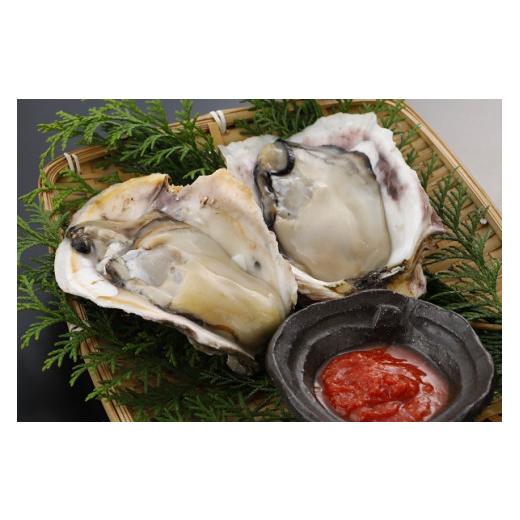 ふるさと納税 島根県 海士町 特大寒シマメ丸ごと１本×ブランド岩牡蠣Sサイズ５個