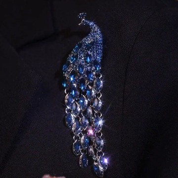 新品上市!!【快速出貨】高級孔雀流蘇毛衣大衣胸針 女款高檔女胸花別針 設計感小眾奢華氣質胸針 別針