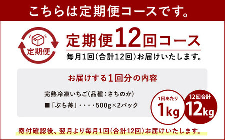 完熟冷凍いちご「ぷち苺」1kg 500g×2パック 園村苺園