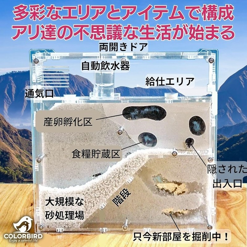 Amazon | ニチドウ 飼育観察セット アリの巣立体 | ニチドウ