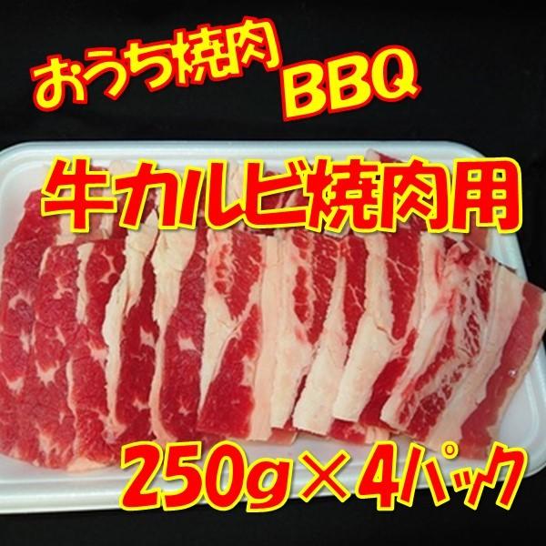 焼肉 牛肉 牛カルビ焼肉用1ｋｇ（250ｇｘ４パック）