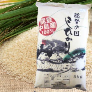 新米！石川県産100%！こしひかり2kg×3袋