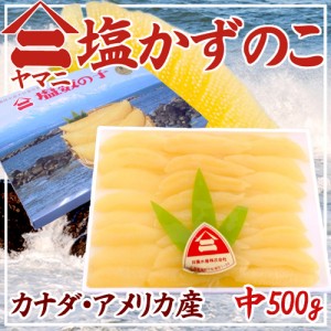 北海道 井原水産 ”ヤマニ 塩数の子” 中 約500g 化粧箱 カナダ・アメリカ産 塩かずのこ☆