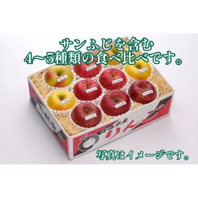 ふるさと納税 青森市 お楽しみ♪青森県産りんご食べ比べセット