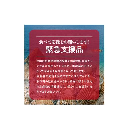 ふるさと納税 北海道 余市町 北海道産　ほたて貝柱  500g  　4Sサイズ