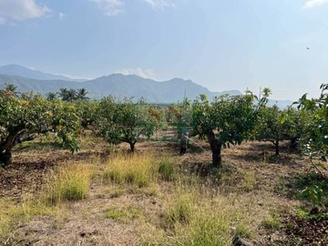 屏東枋山加祿農舍｜屏東縣枋山鄉枋山區加祿路