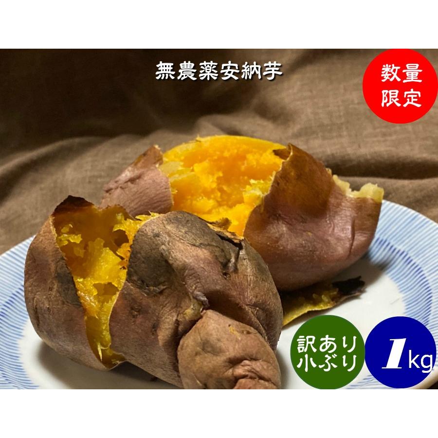 有機栽培  EM農法 わけあり 安納芋（さつまいも）１袋１kg