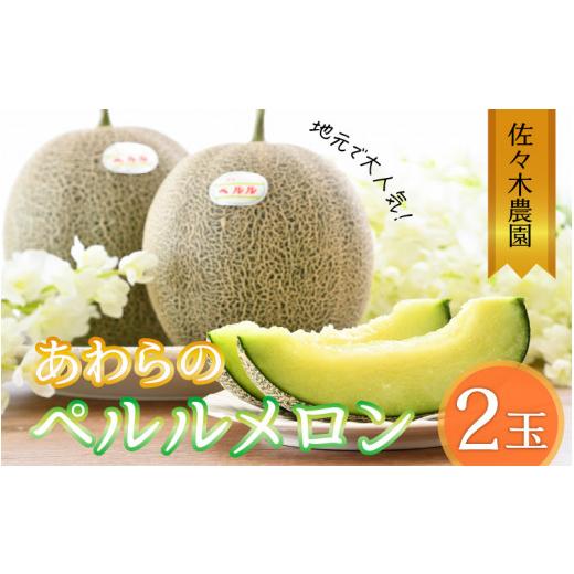 ふるさと納税 福井県 あわら市 ペルルメロン 3L 2玉入（1.7kg以上×2玉）糖度16度以上！／ 1株1果 大玉 青肉 メロン 果物 フルーツ ギフト 農家直…