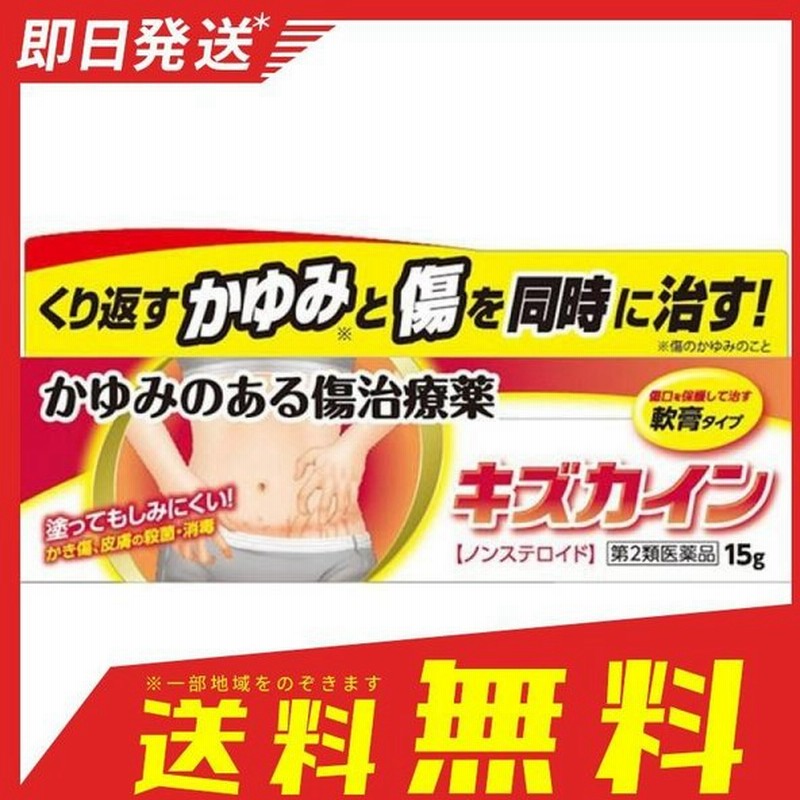 キズカイン 15g 傷薬 かゆみのある傷 ノンステロイド 1個 第２類医薬品 通販 Lineポイント最大0 5 Get Lineショッピング