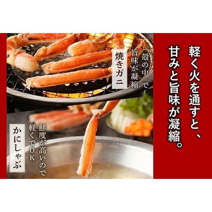 ふるさと納税 カニ・ズワイガニ／カニお刺身＆かにしゃぶに／鮮度抜群！お刺身でも食べられる！カット 生ズワイガニ ４肩分　＜ハーフ ポーシ.. 京都府京丹後市